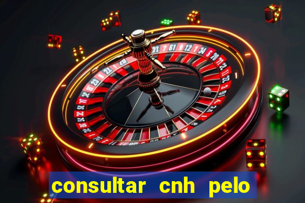 consultar cnh pelo cpf sp